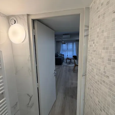 Avec Cosy Et Canape Convertible Apartment