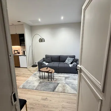 Apartment Avec Cosy Et Canape Convertible